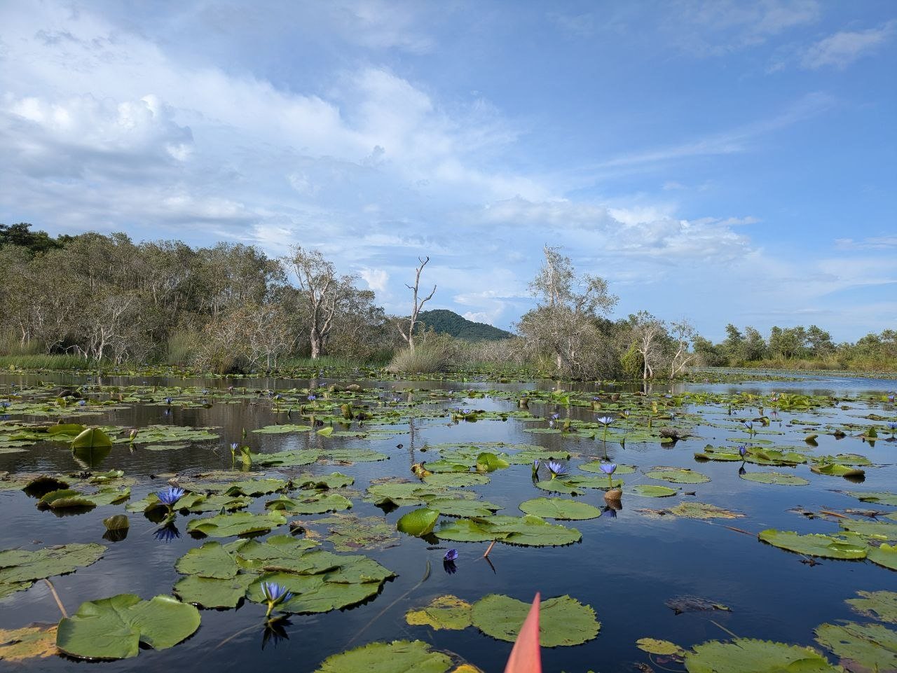 Rayong Botanical Garden