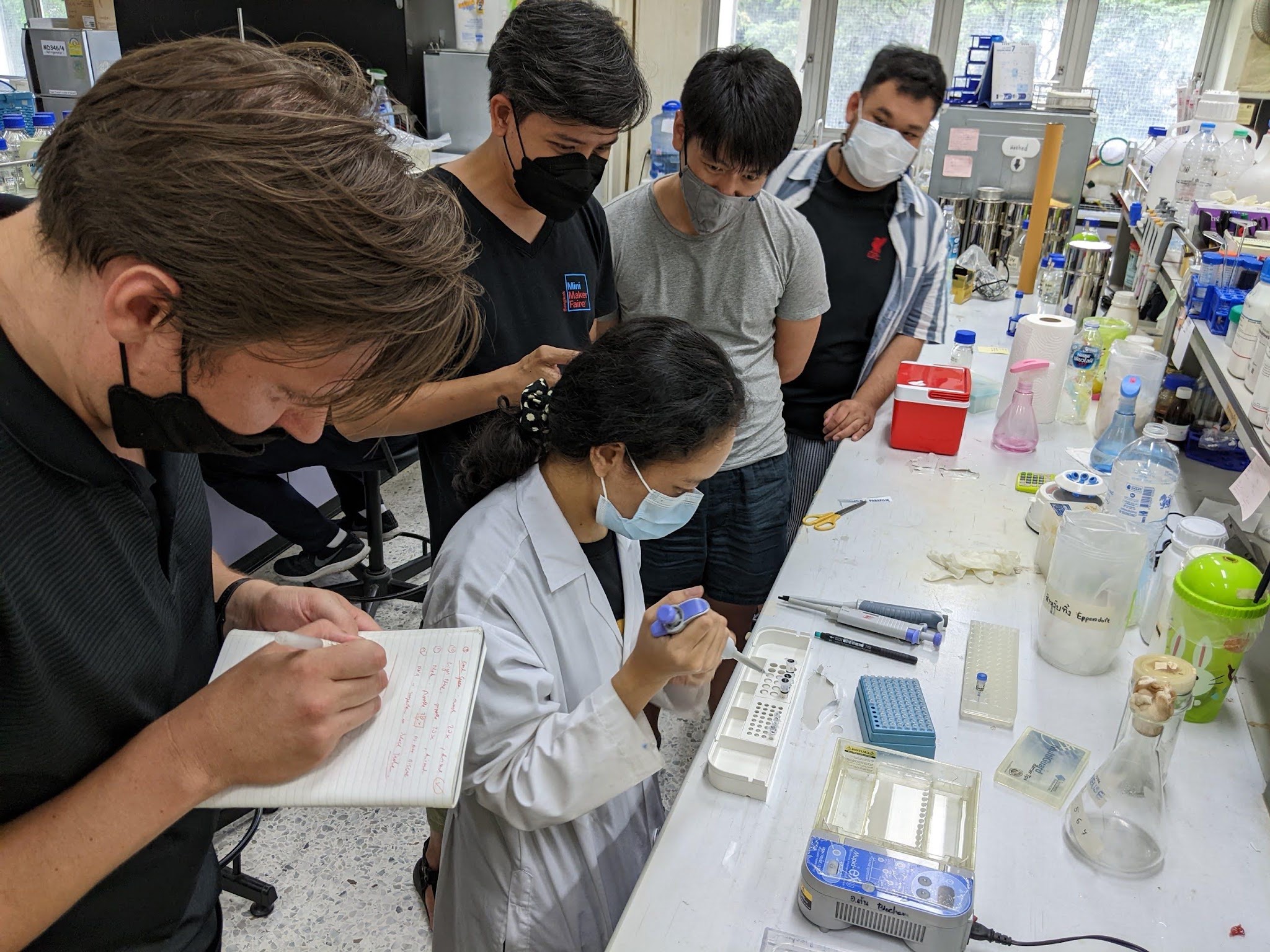 Gel electrophoresis