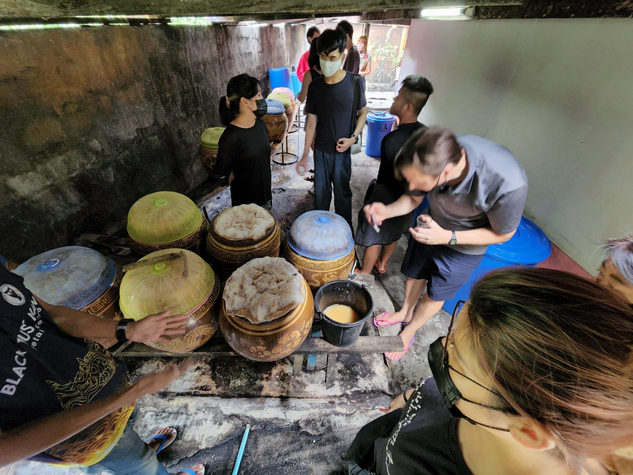 Slime mold workshop by Hanna Saito